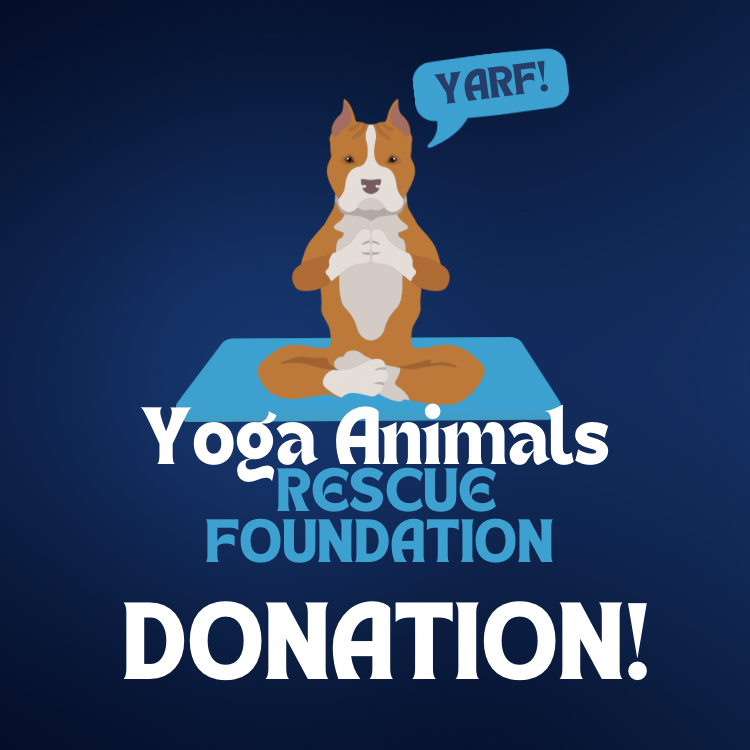 YARF! Donation